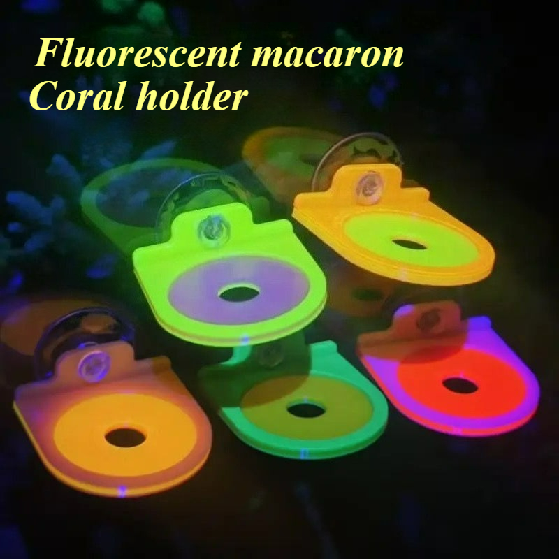 Marine Aquarium Live - Soporte para Frag de Coral de