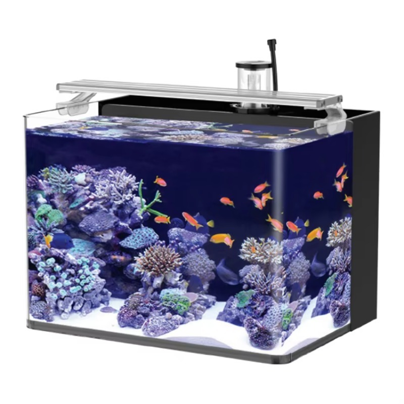 Marine Aquarium Live - Acuario Curvo de Agua Salada para