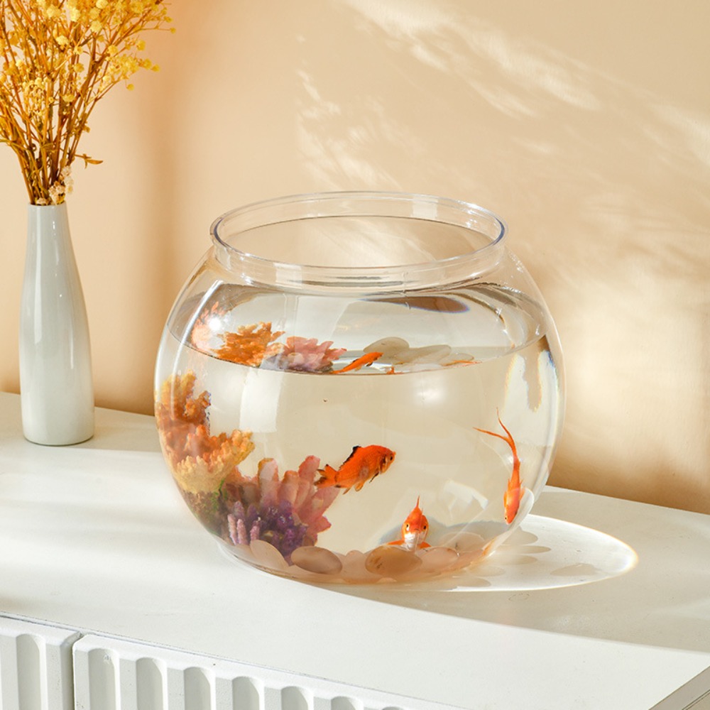 Pecera redonda transparente de - Marine Aquarium Live reseña y precio