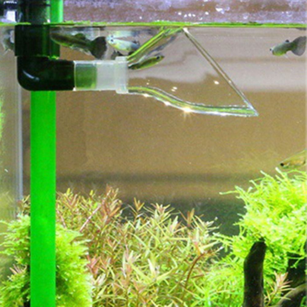 Salida de tubería de planta de - Marine Aquarium Water reseña y precio