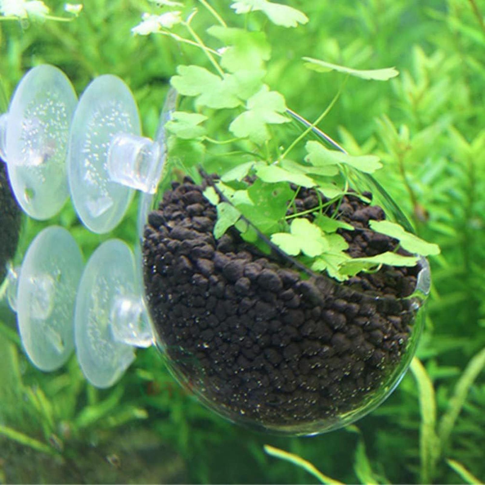 Soporte para Plantas de Acuari - Marine Aquarium Live reseña y precio
