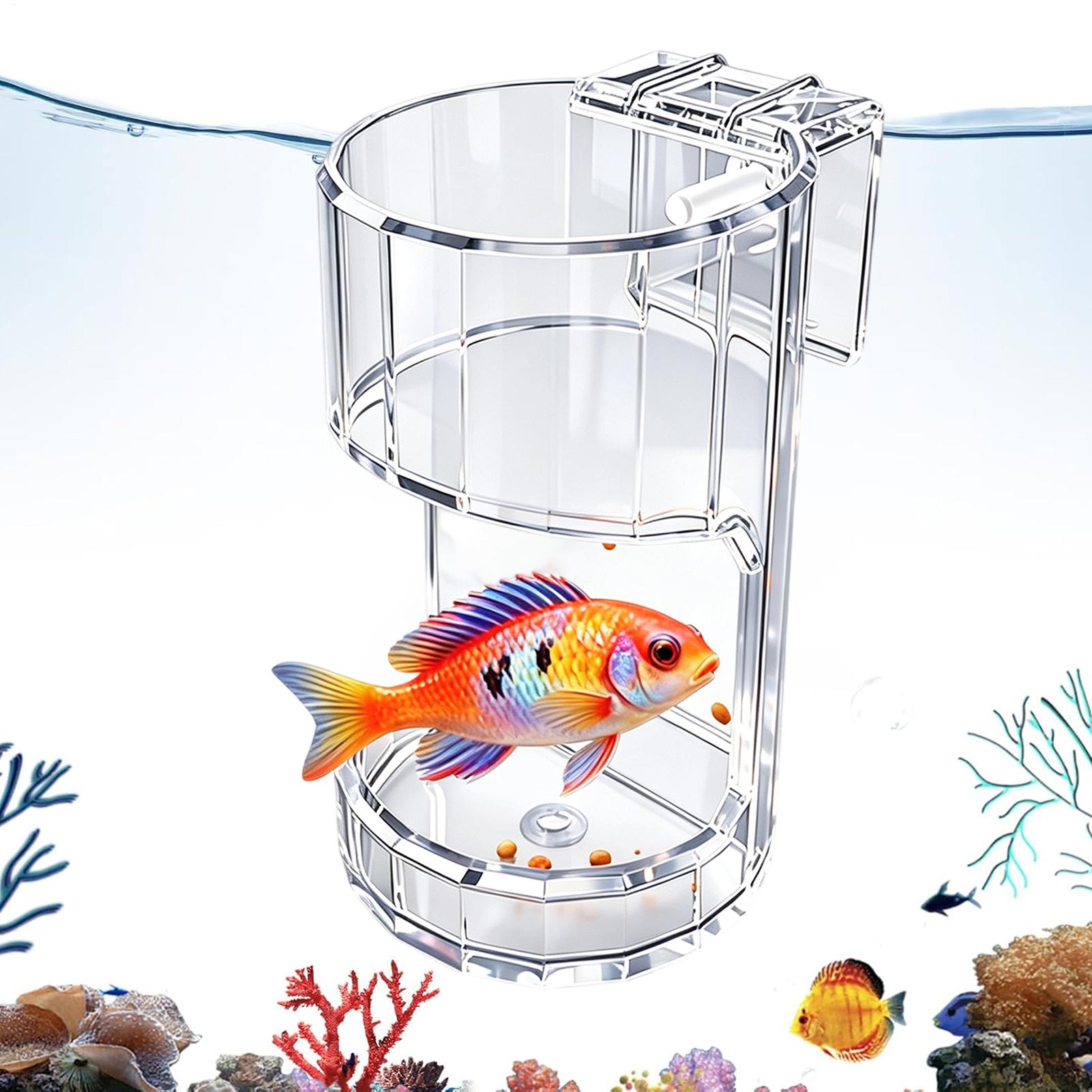 Plato de Alimentación para Acu - Marine Aquarium Live reseña y precio