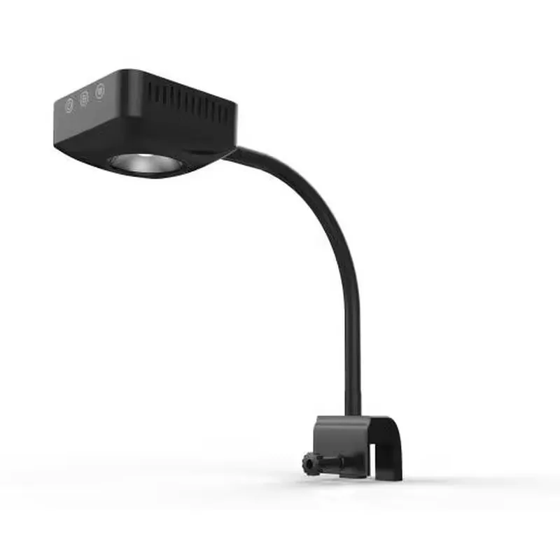 Accesorios Decorativos de Lujo - Aquarium Marine Salt reseña y precio