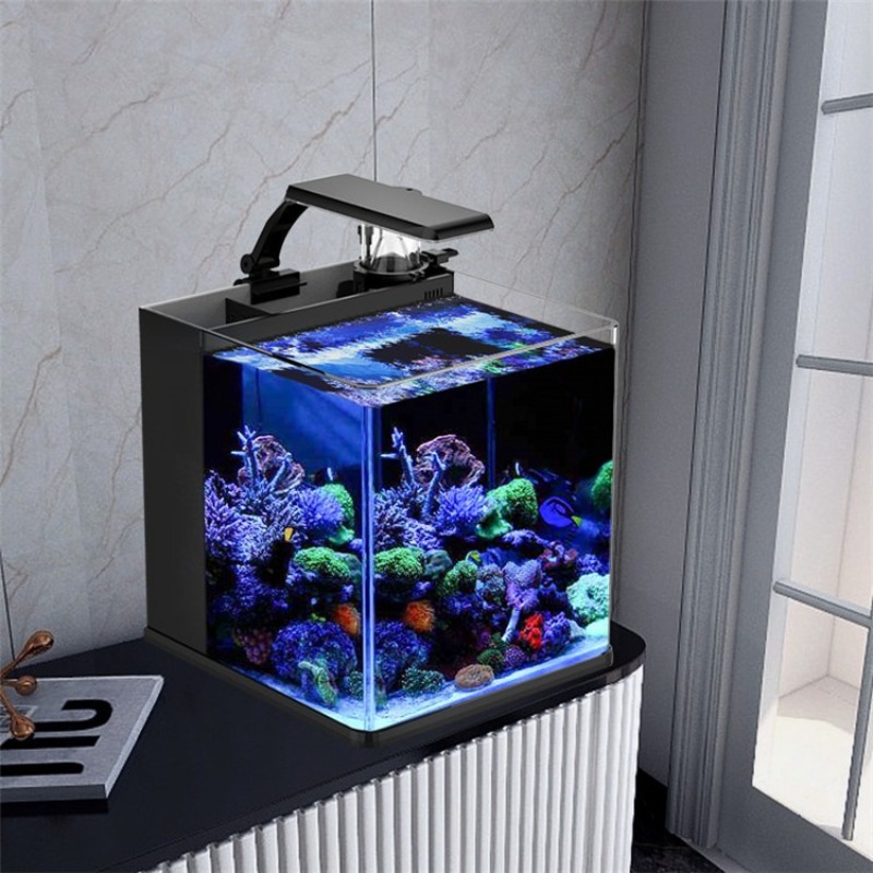 Mini acuario marino de agua sa - Aquarium Marine Salt reseña y precio