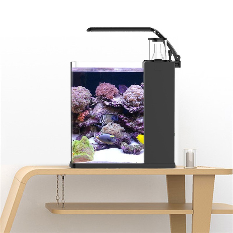 Mini acuario marino de agua sa - Aquarium Marine Salt reseña y precio