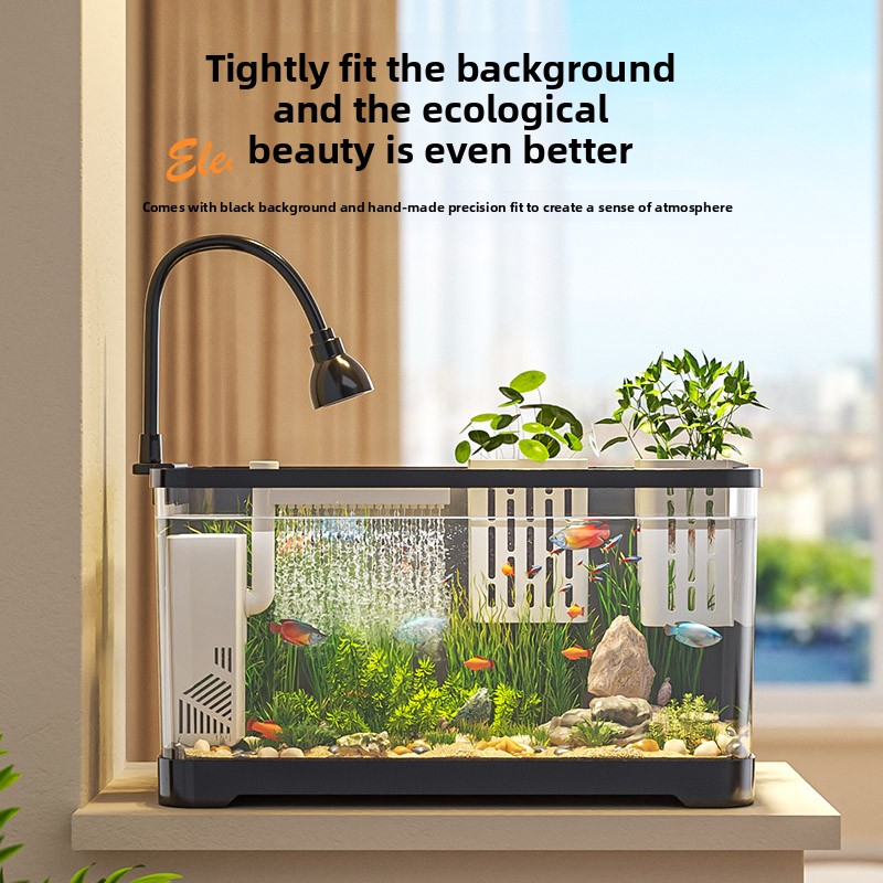 Acuario Todo en Uno 2026 con S - Marine Aquarium Live reseña y precio