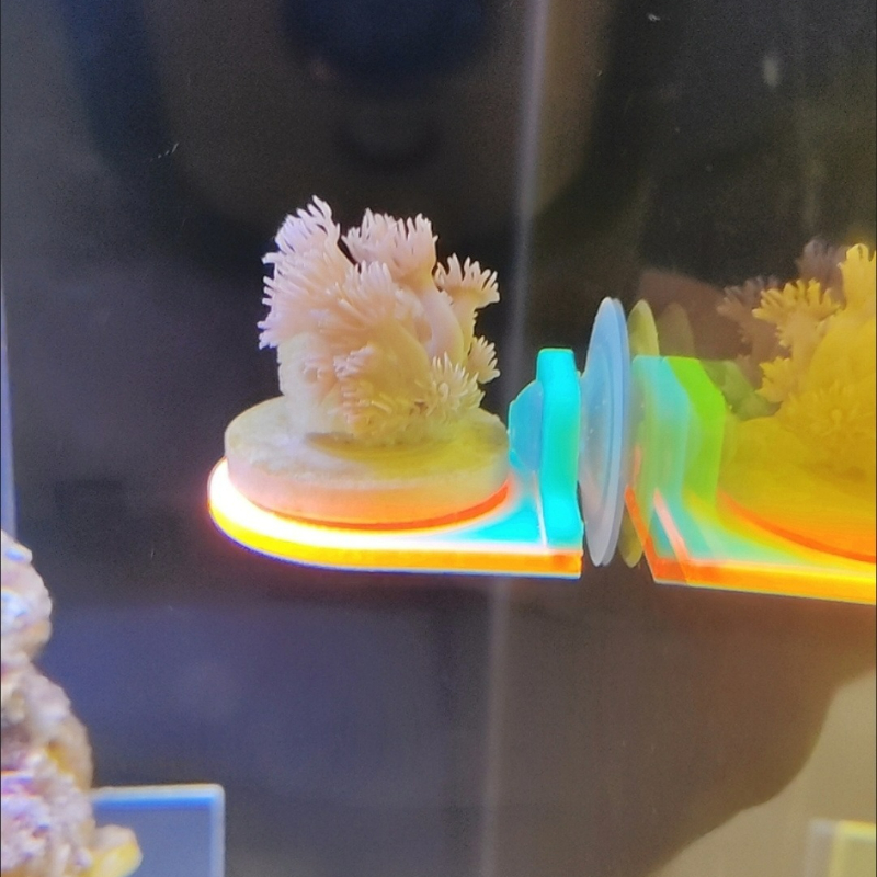 Soporte para Frag de Coral de  - Marine Aquarium Live reseña y precio