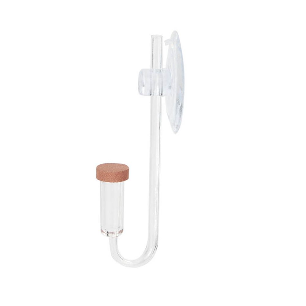 Mini pecera acrílica, planta v - Marine Aquarium Live reseña y precio