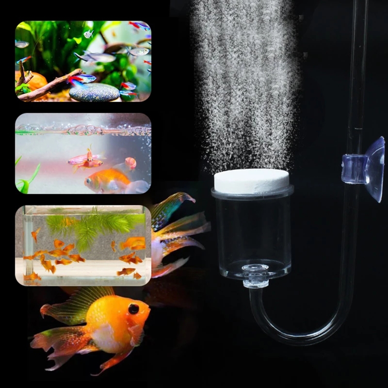 Juego de 4 piezas de difusor d - Marine Aquarium Live reseña y precio
