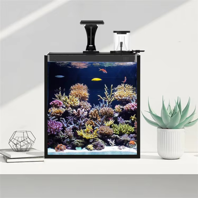 Acuario Curvo de Agua Salada p - Marine Aquarium Live reseña y precio